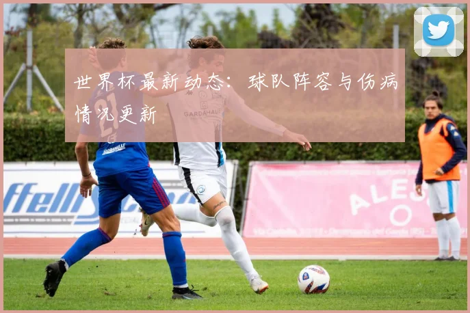 世界杯最新动态:球队阵容与伤病情况更新
