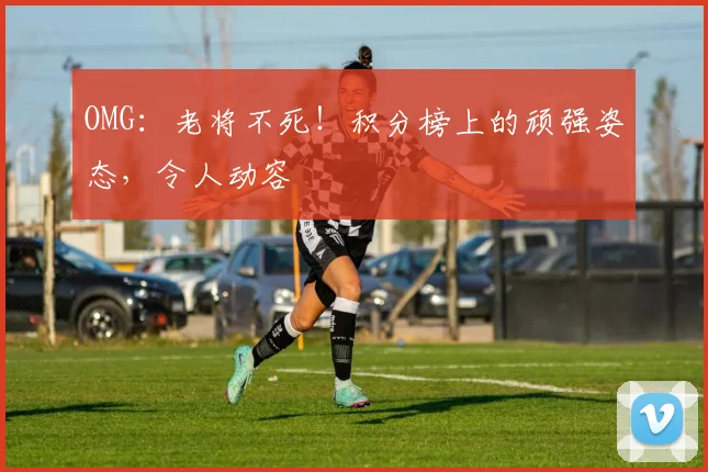 OMG：老将不死！积分榜上的顽强姿态，令人动容